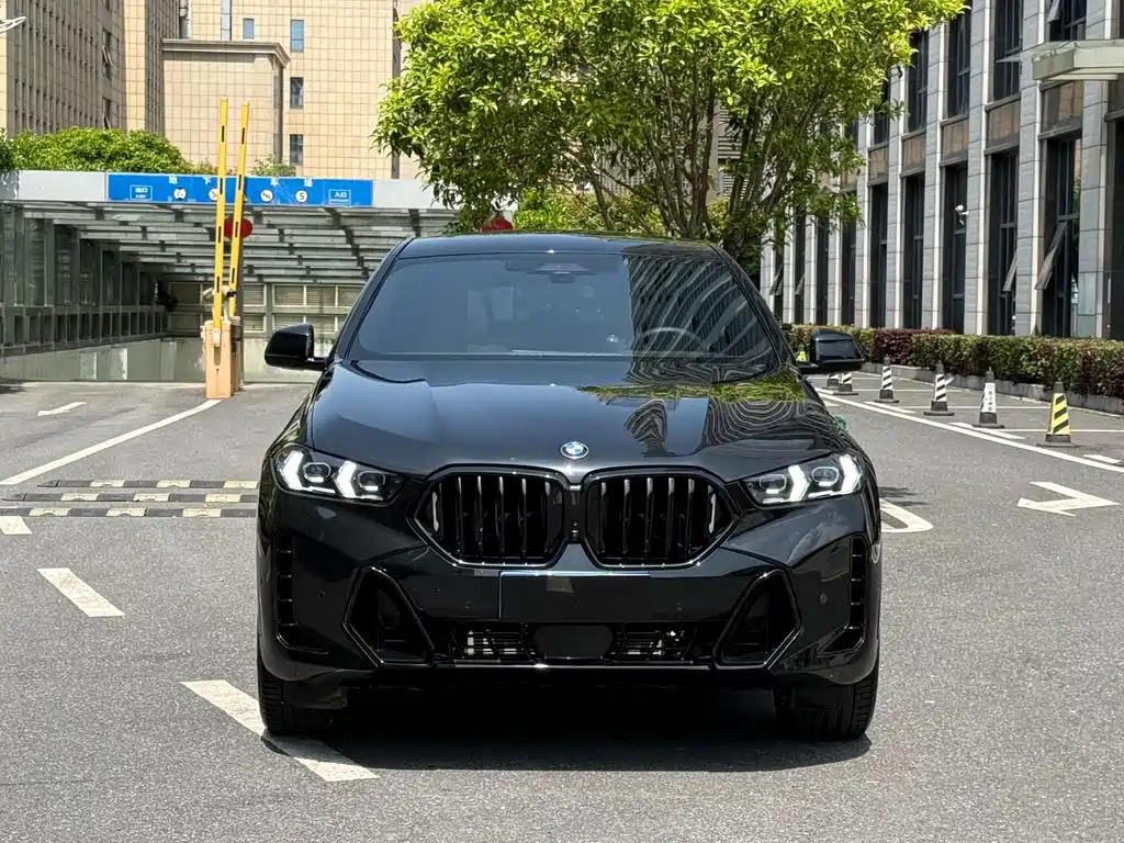 BMW X6 2024 — фото 2