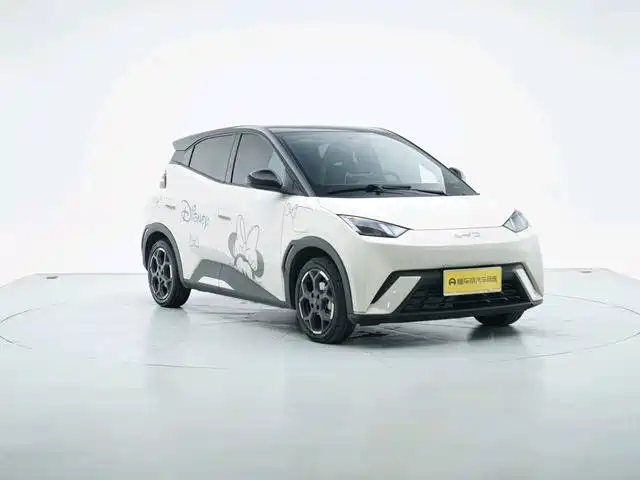 BYD Seagull 2024