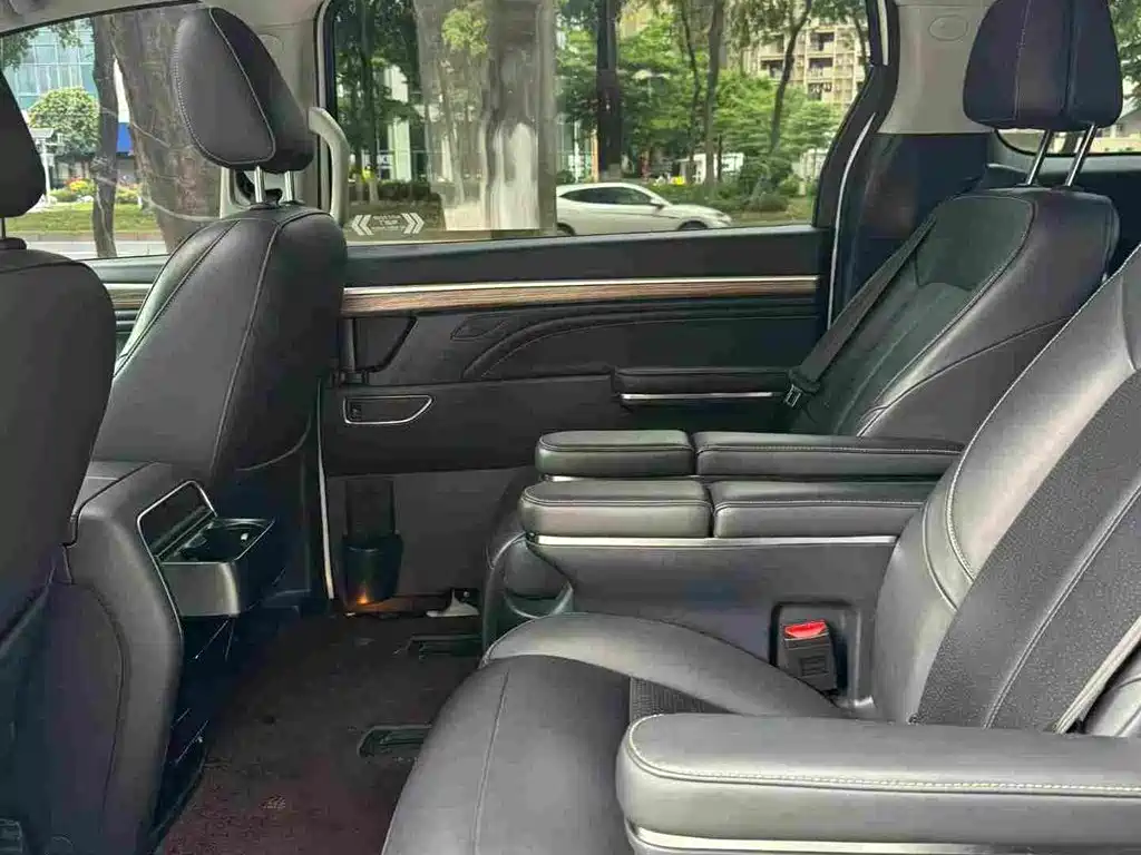 GAC Motor Trumpchi M8 2021 — фото 10