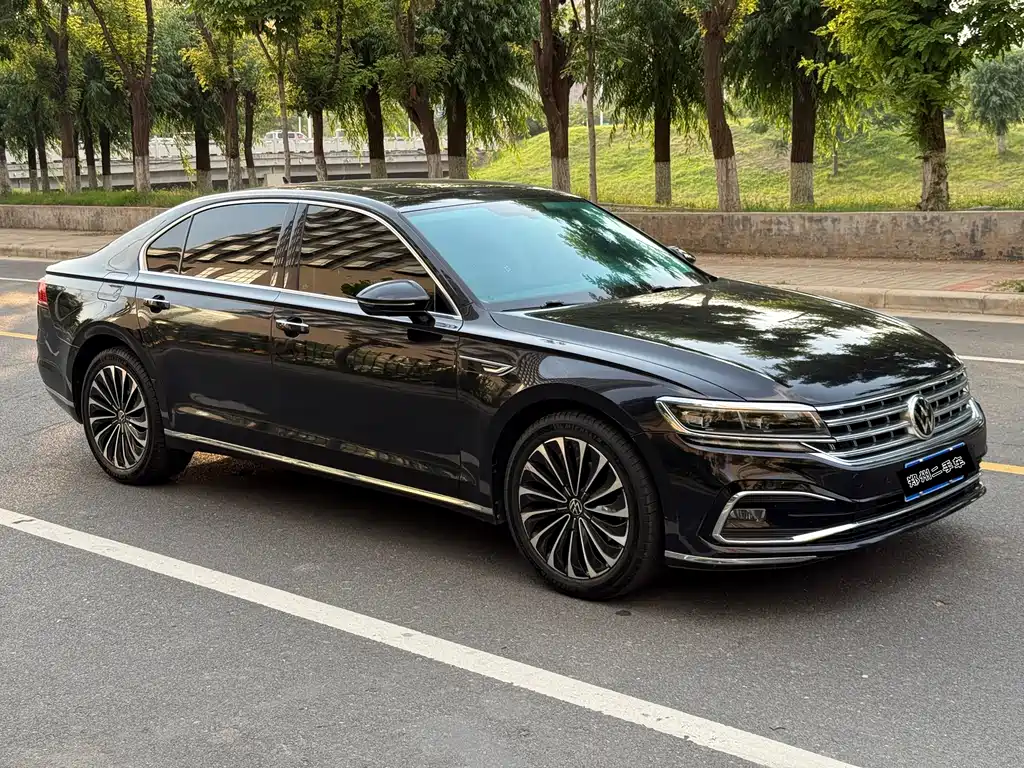Volkswagen Phideon 2021 — фото 3