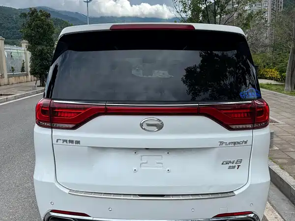 GAC Trumpchi M8 2019