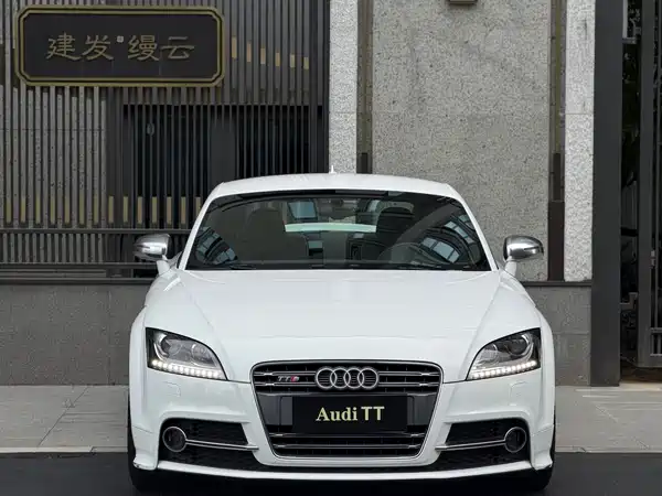 Audi TTS 2013