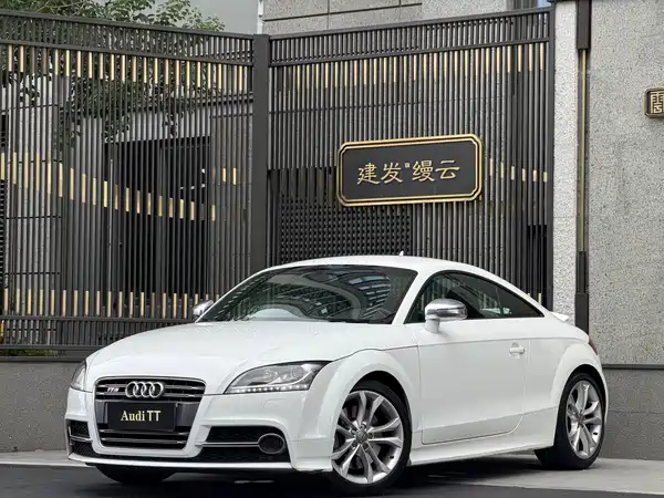 Audi TTS 2013