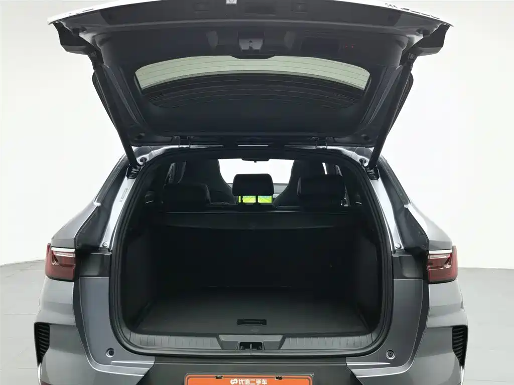 BYD PLUS New Energy 2023 — фото 16