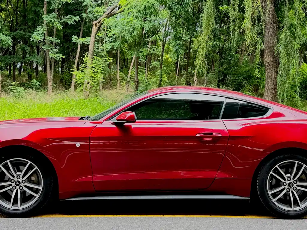 Ford Mustang 2017 — фото 3
