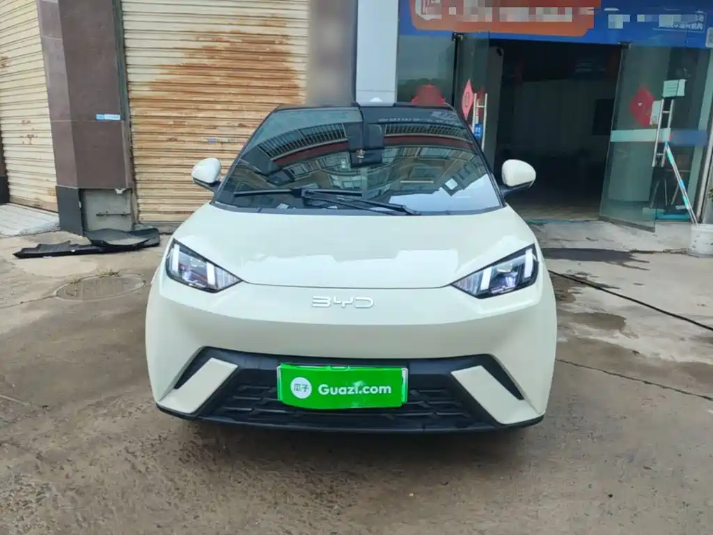 BYD Seagull 2024