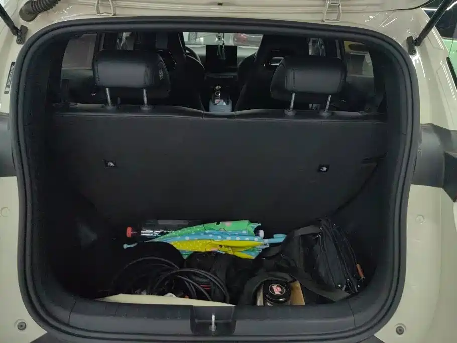 BYD Seagull 2024