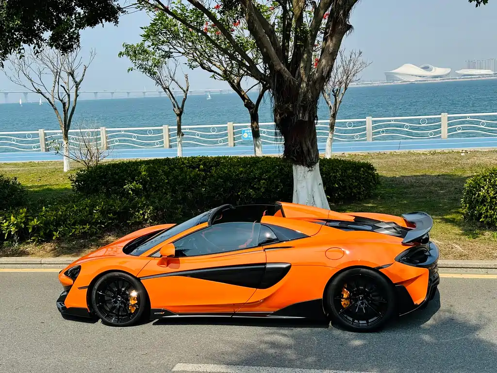 McLaren 600LT 2020 — фото 13