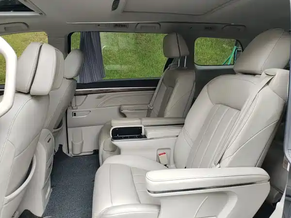 GAC Trumpchi M8 2019
