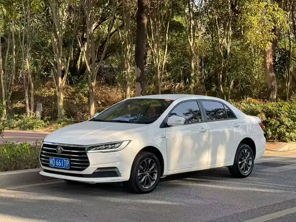 BYD Qin 2019