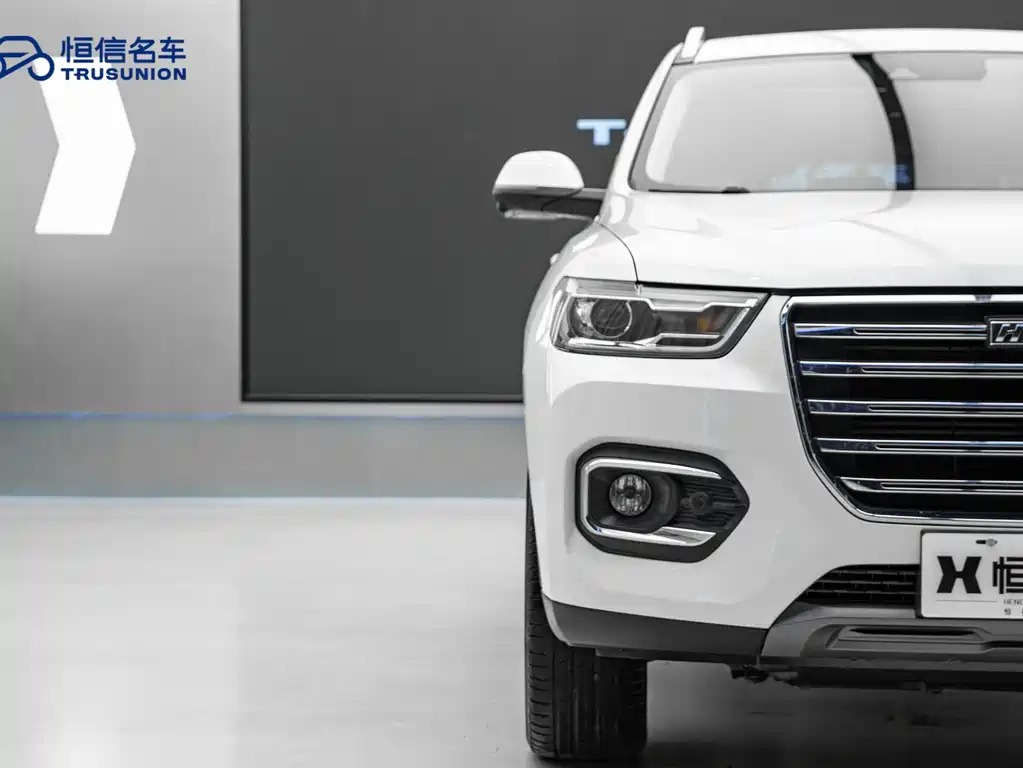 Haval H6 2019 — фото 9