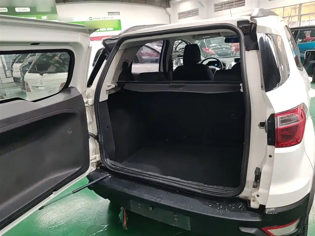 Ford Ecosport 2015 — фото 15