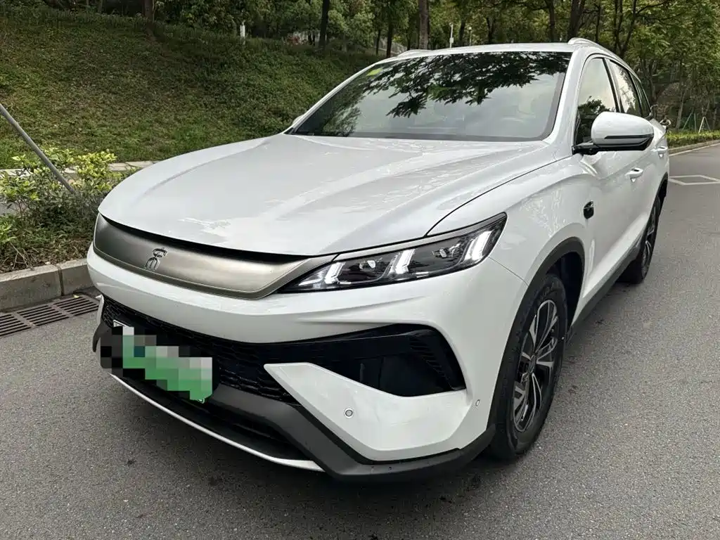 BYD Pro New Energy 2025