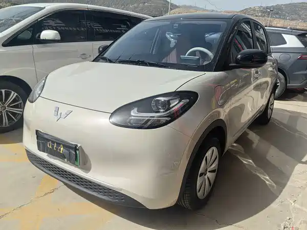 Wuling Bingo 2025