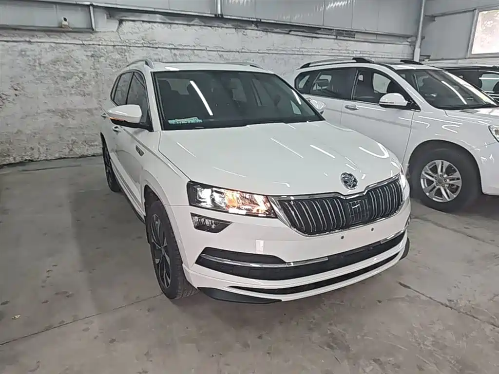 Skoda Karoq 2022 — фото 4