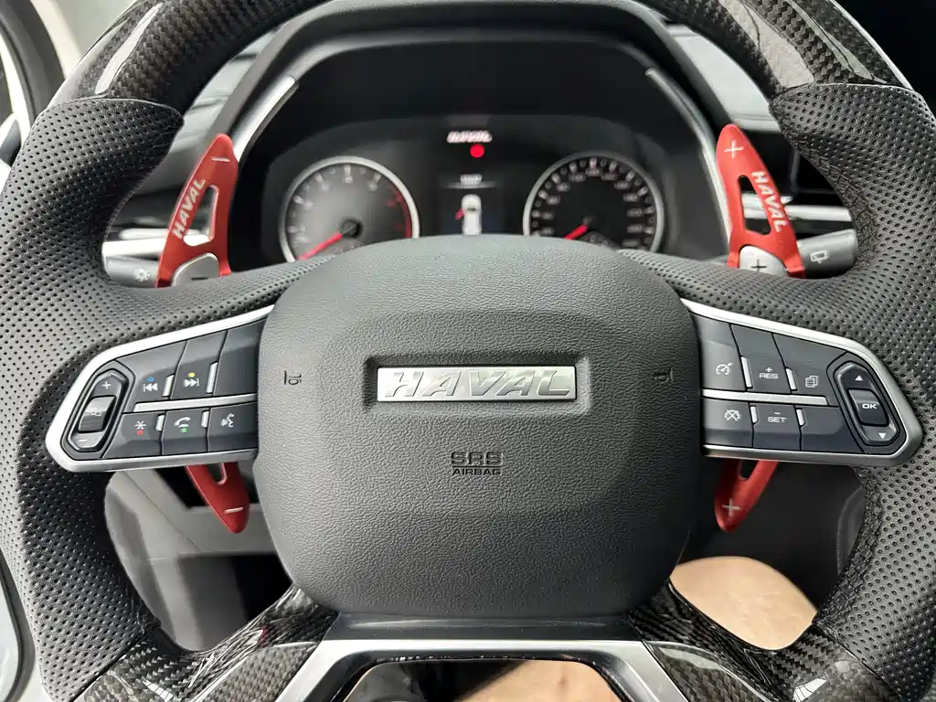 Haval H6 2022 — фото 12