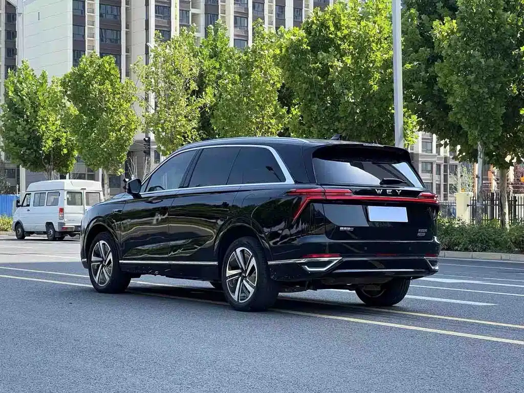 Wey Lanshan 2023