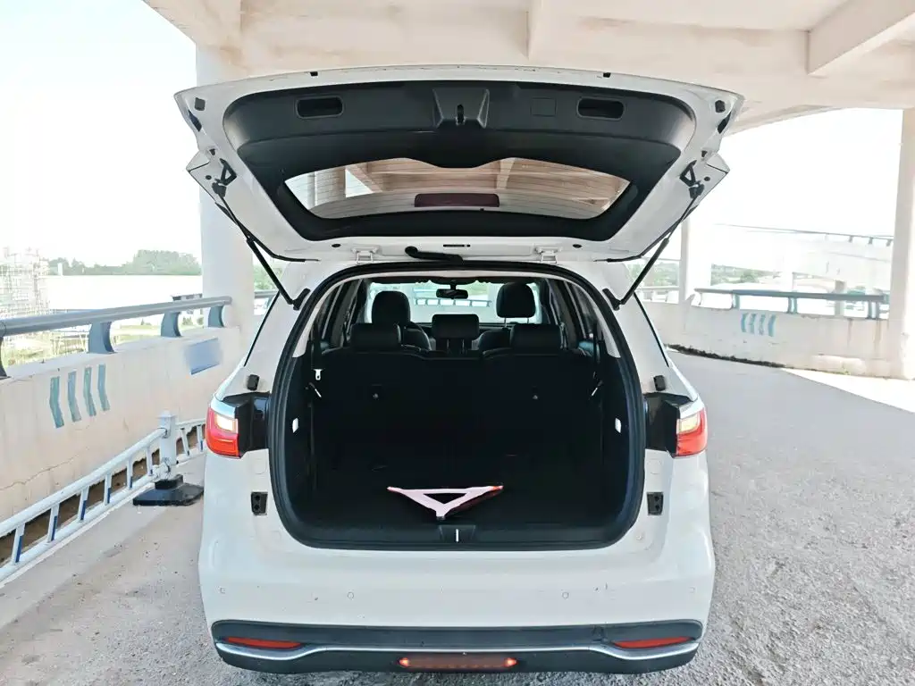 BYD Song MAX New Energy 2020 — фото 19