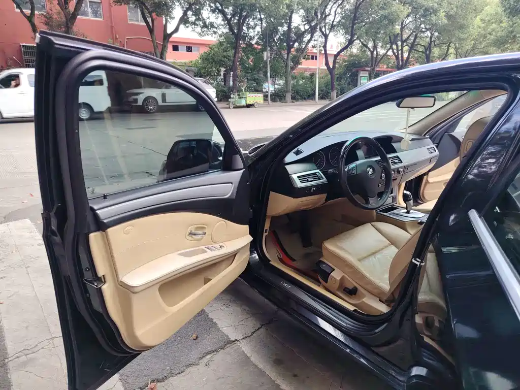 BMW 5 Series 2009