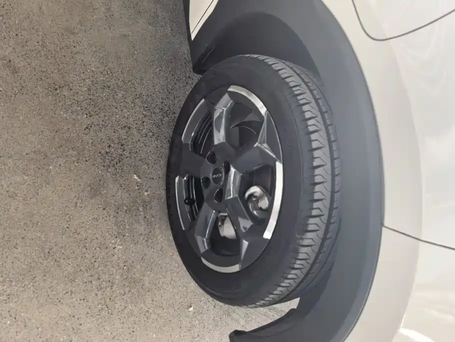 BYD Seagull 2024