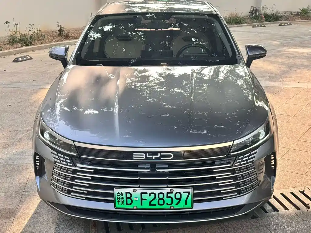 BYD Destroyer 05 2023 — фото 2