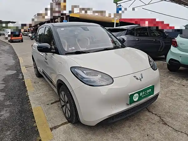 Wuling Bingo 2024