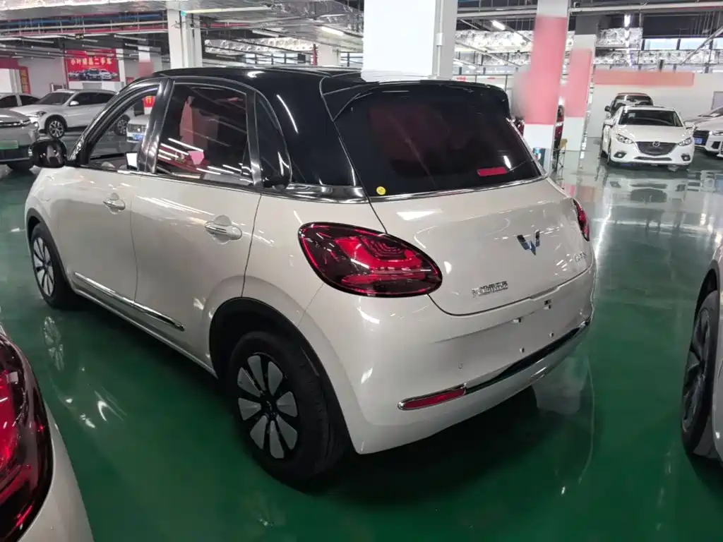 Wuling Bingo 2024