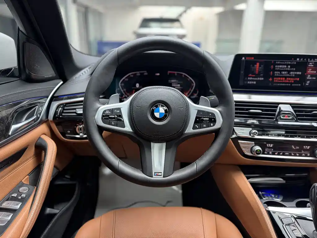 BMW 5 Series 2020 — фото 10
