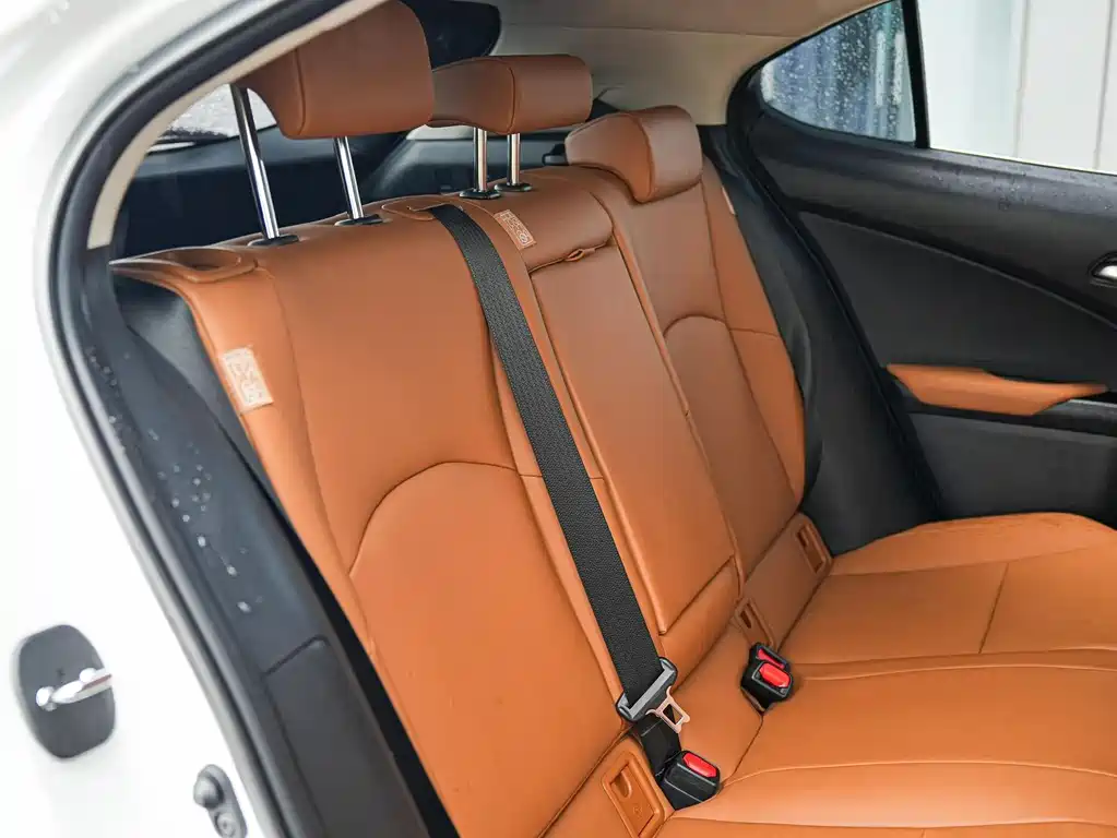 Lexus UX 2021 — фото 15