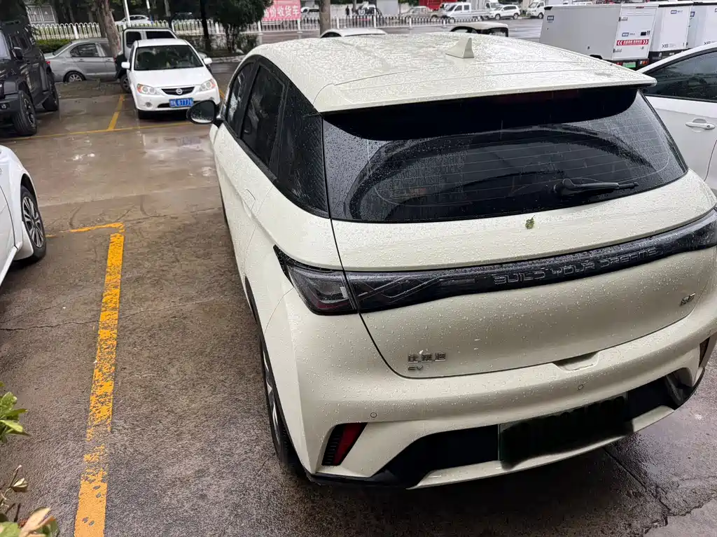 BYD Dolphin 2026