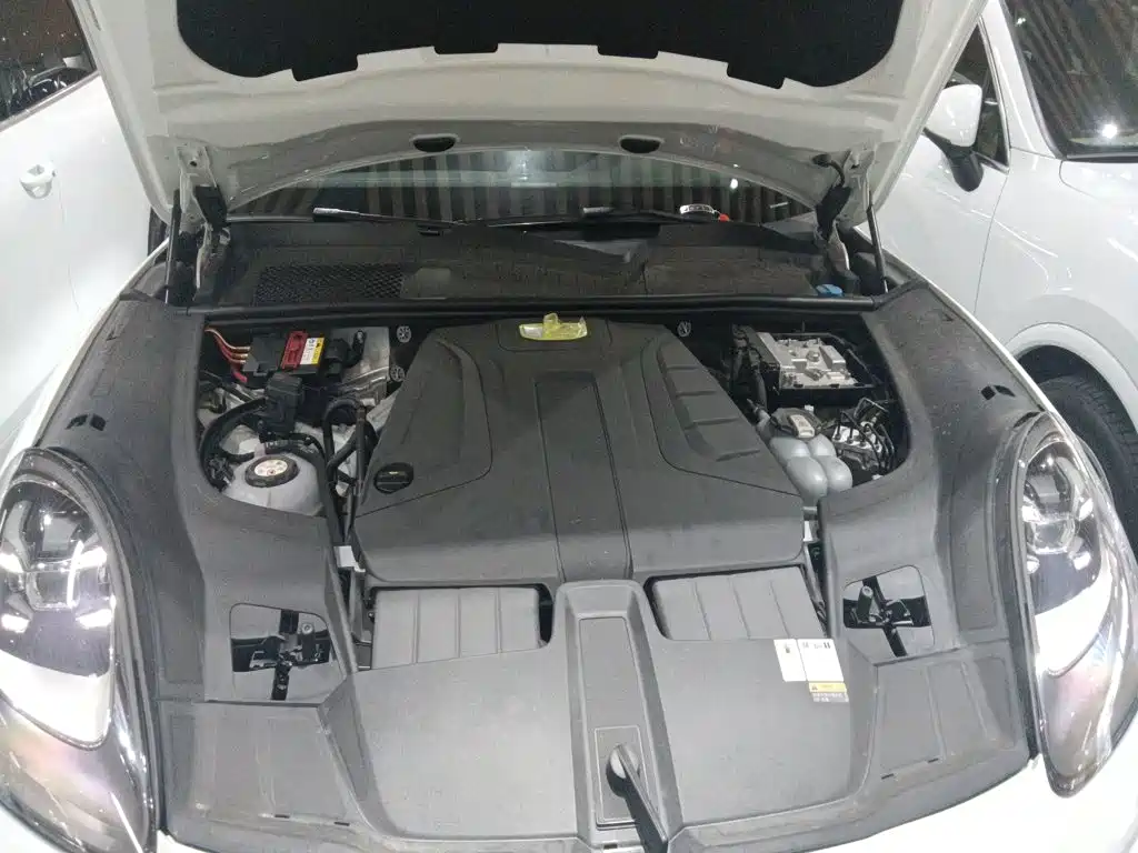 Porsche Cayenne New Energy 2021 — фото 16