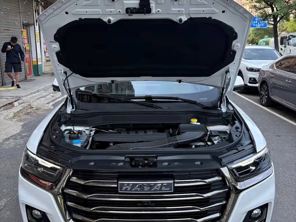 Haval H6 2023 — фото 16