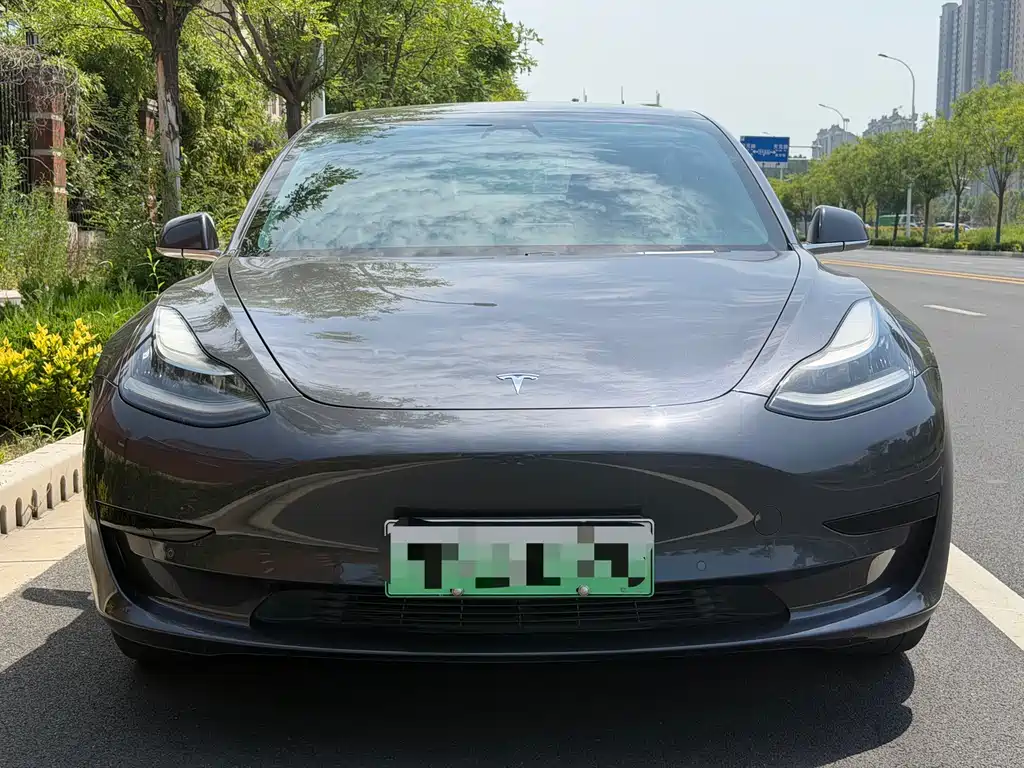 Tesla Model 3 2020 — фото 2