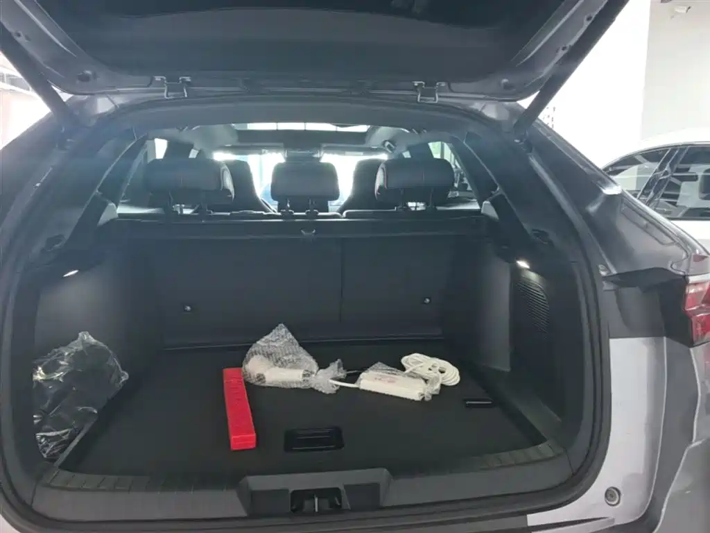 BYD PLUS New Energy 2023 — фото 19