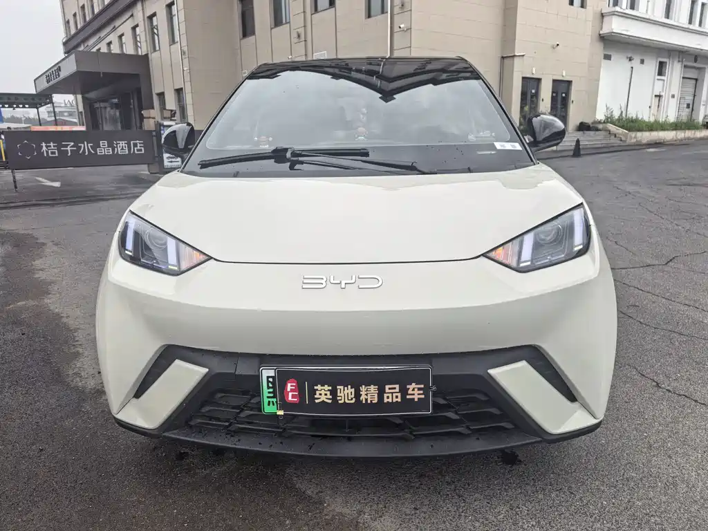 BYD Seagull 2024