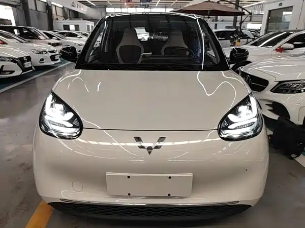 Wuling Bingo 2024