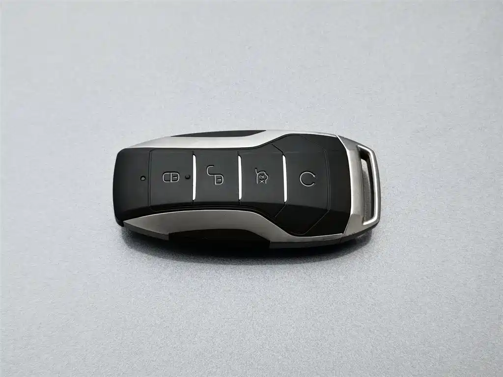 BYD PLUS New Energy 2023 — фото 19