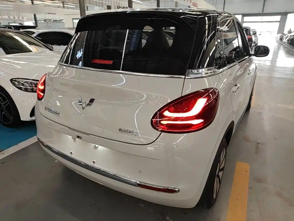Wuling Bingo 2024