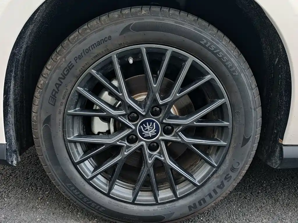 BYD Qin PLUS 2025