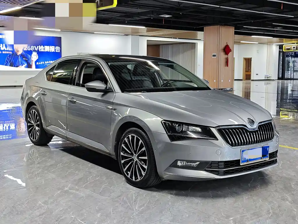 Skoda Speedy 2017