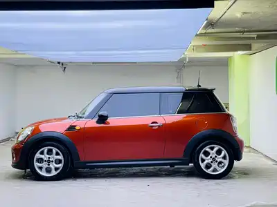 MINI MINI 2013
