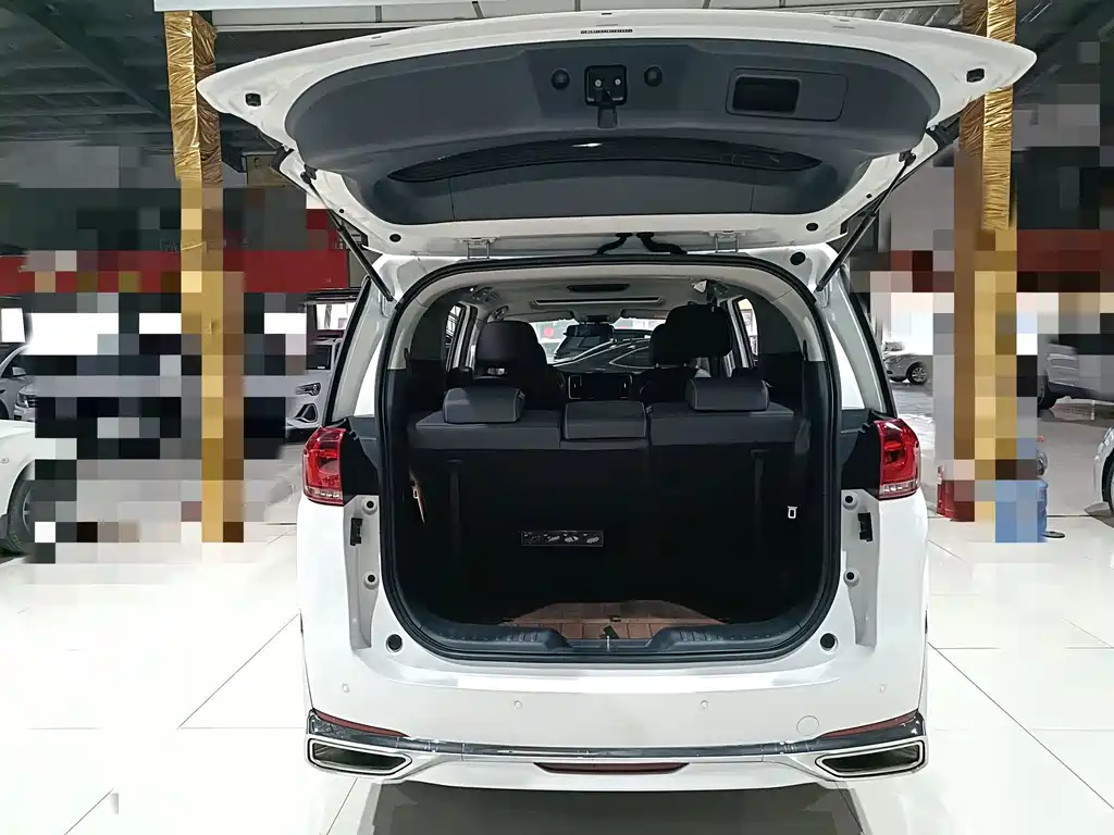 GAC Trumpchi M8 2021 — фото 12
