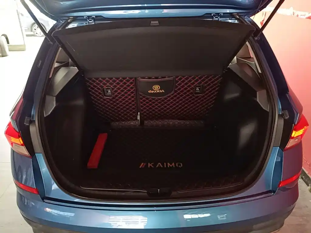 Skoda Kamiq 2020 — фото 19
