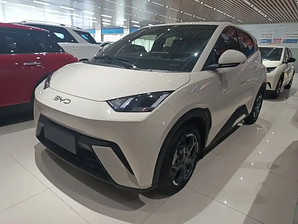 BYD Seagull 2024