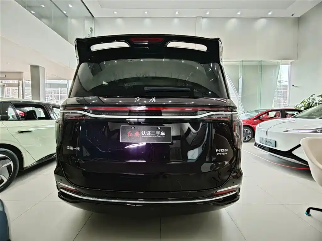 Hongqi HQ9 PHEV 2024 — фото 23