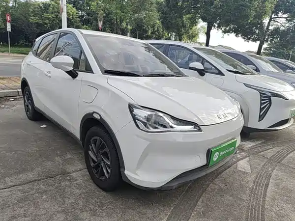 Neta V 2020