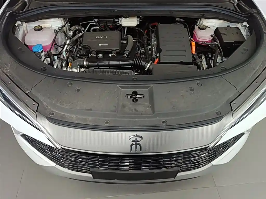 BYD L DM-i 2025 — фото 20