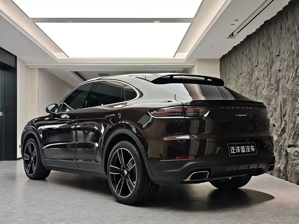 Porsche Cayenne 2019 — фото 19