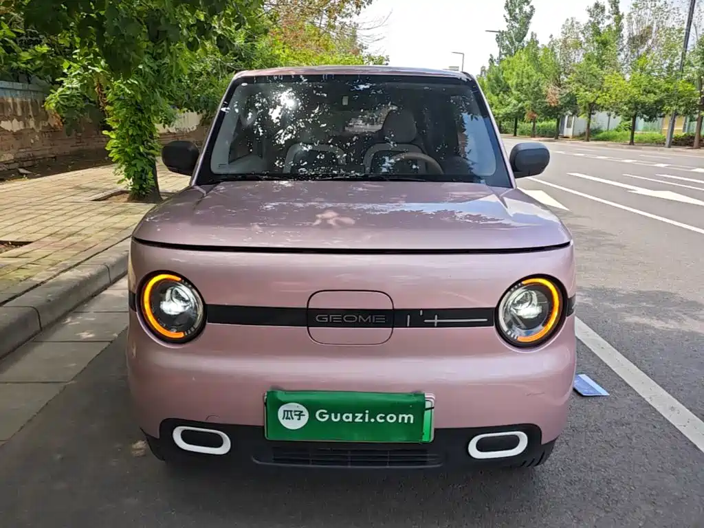 Geely Galaxy Panda 2025