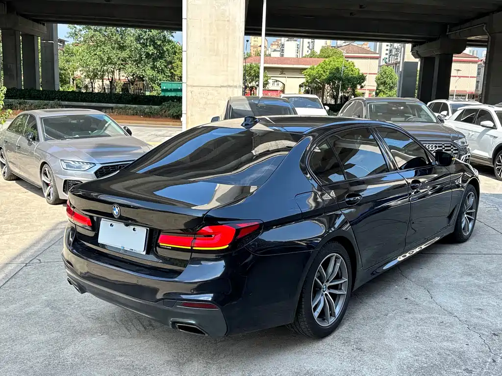 BMW 5 Series 2019